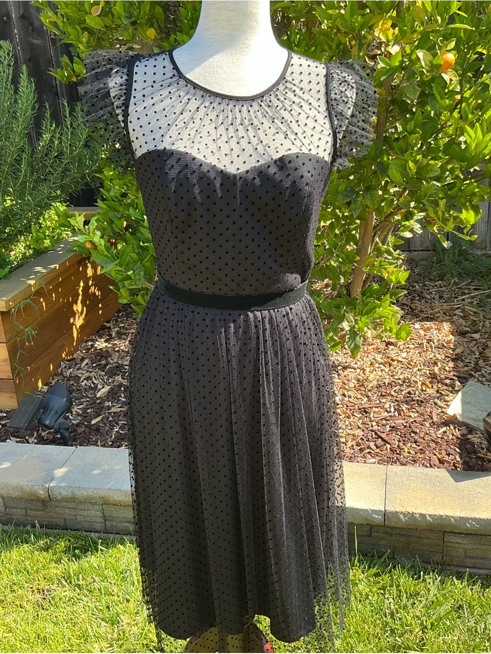 Jason Wu Dress 6P Black Polka Dot Tulle Sheer Lined A-Line Midi Petite Flutter